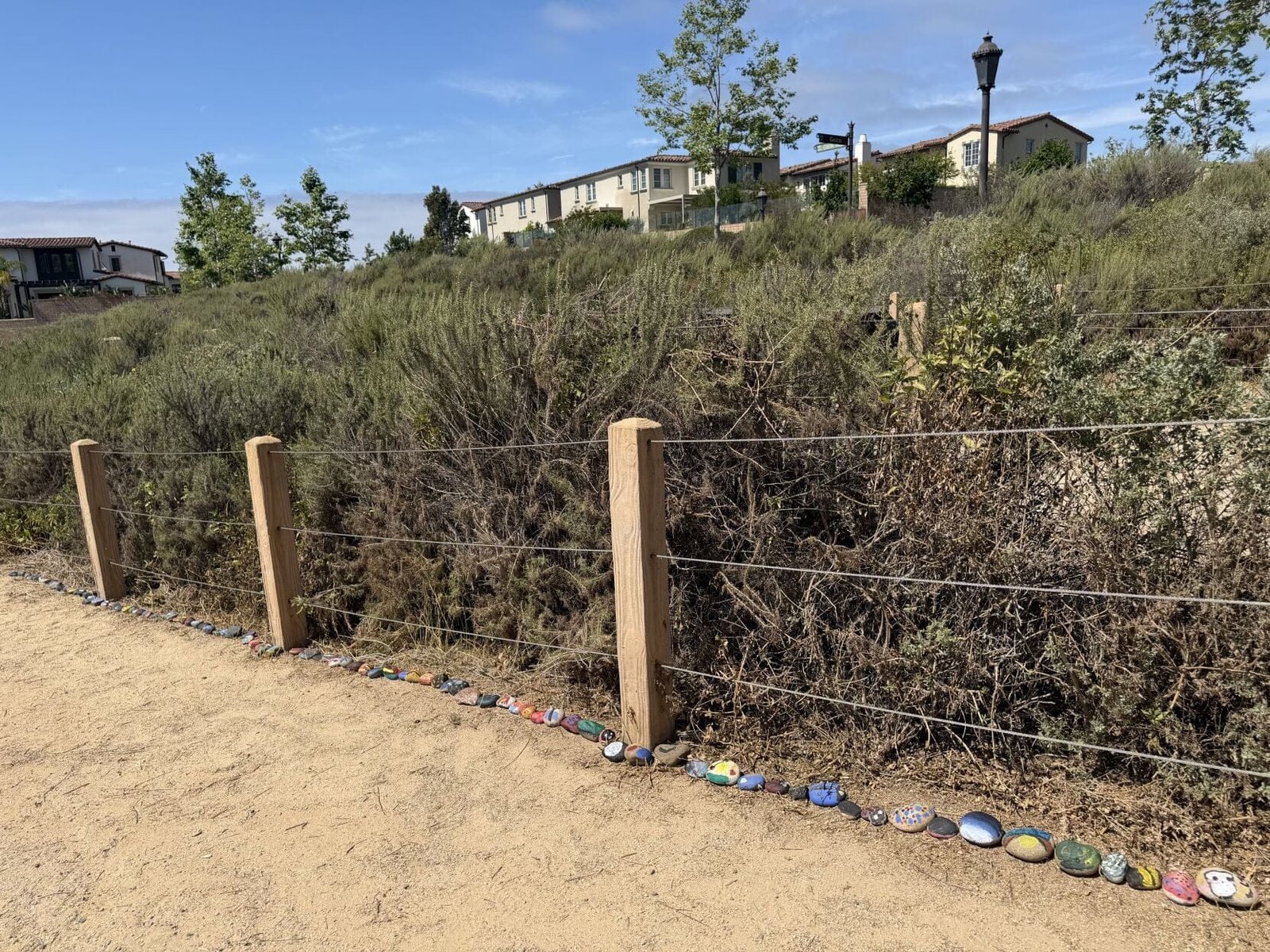 Read more about the article Community Building with the San Clemente Boys & Girls Club